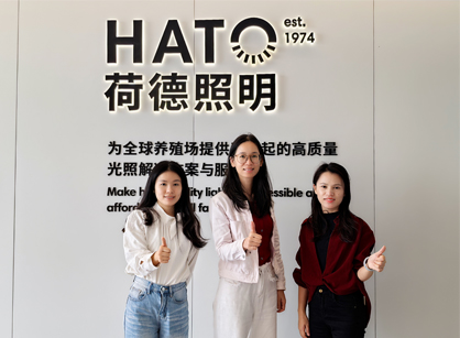 灯光照明行业办公空间焕新就来南宫NG28装饰